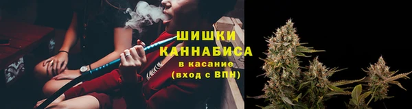 крисы Баксан