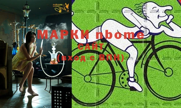 крисы Баксан