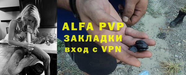 крисы Баксан