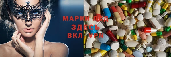 крисы Баксан