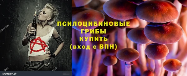 крисы Баксан