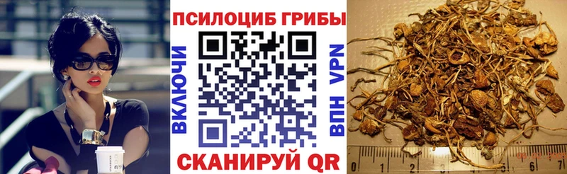 маркетплейс телеграм Солигалич Галлюциногенные грибы Psilocybine cubensis
